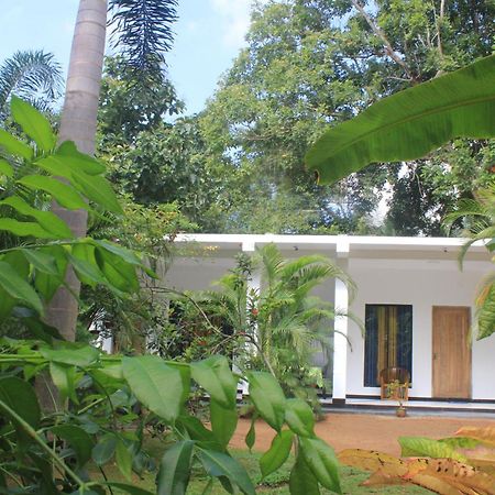 Sigiriya Mana B&B Exteriör bild