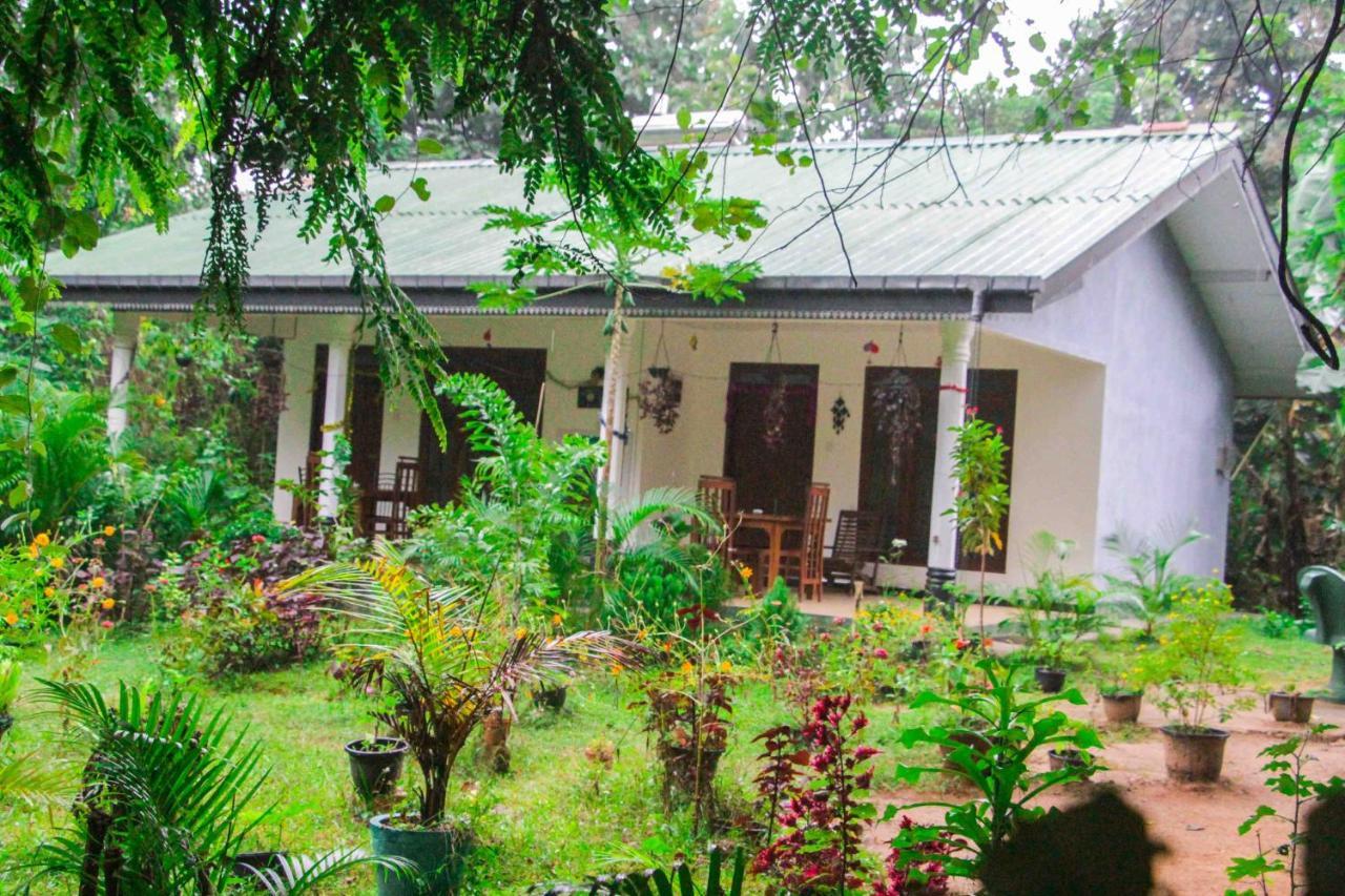 Sigiriya Mana B&B Exteriör bild