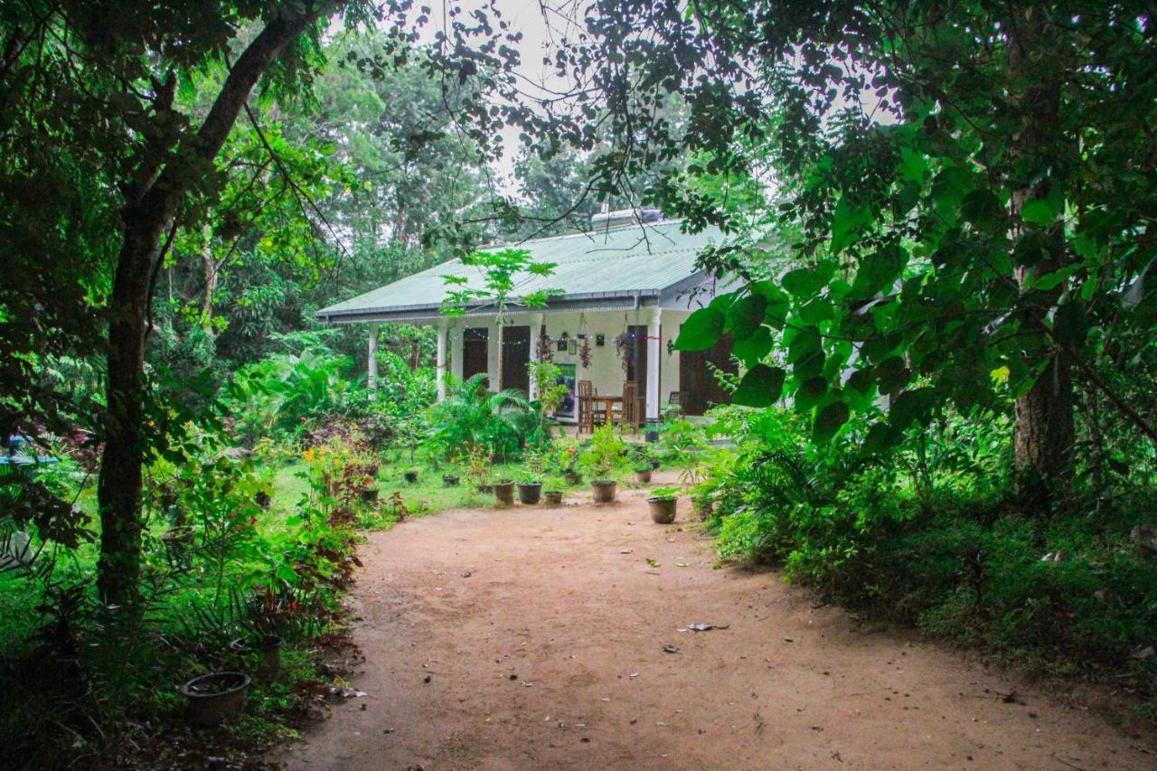 Sigiriya Mana B&B Exteriör bild