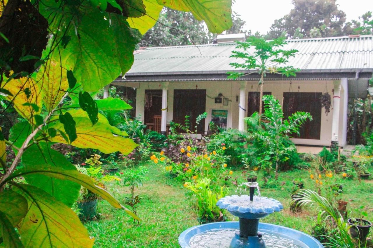 Sigiriya Mana B&B Exteriör bild